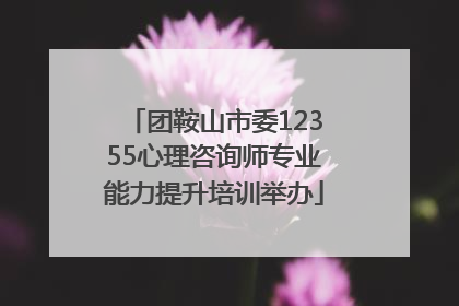 团鞍山市委12355心理咨询师专业能力提升培训举办